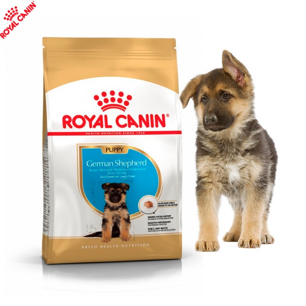 Royal canin german shepherd Puppy 1Kg