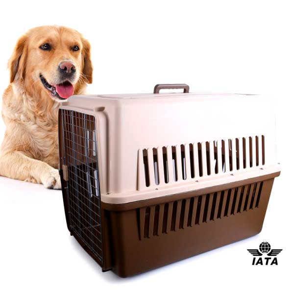 Cage Transport 80x55x60cm - L