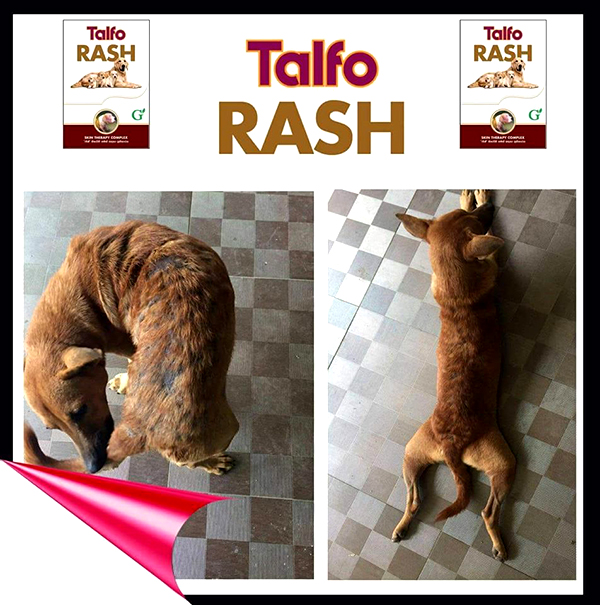 Talfo rash 25g