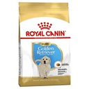 Royal Canin Golden Retriver Puppy 1kg