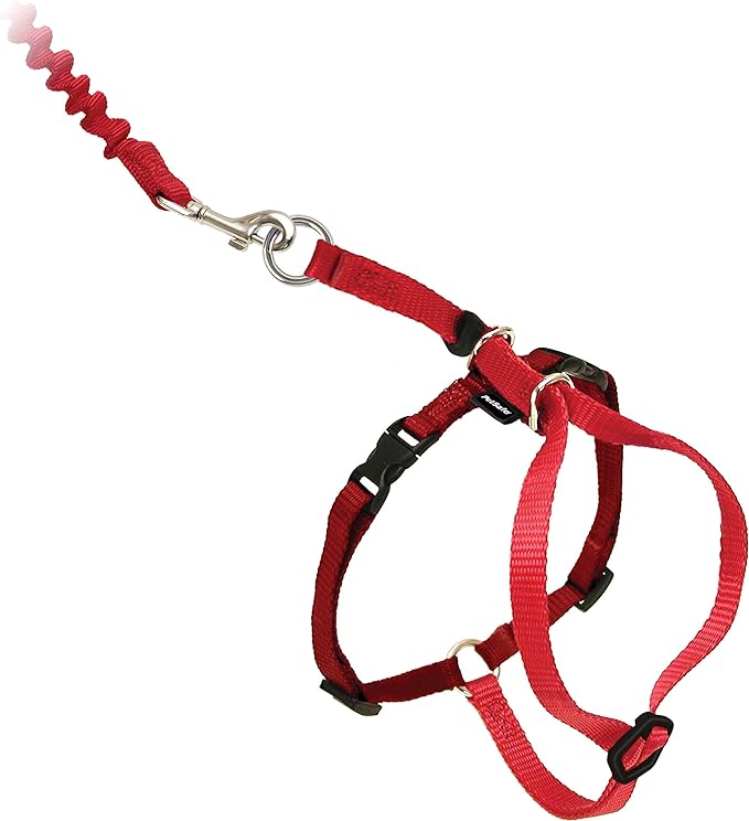 Harness Kit For Cat 1.0cm