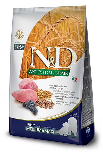 N&D Ancestral Grain Light Medium & Maxi Adult 2.5Kg