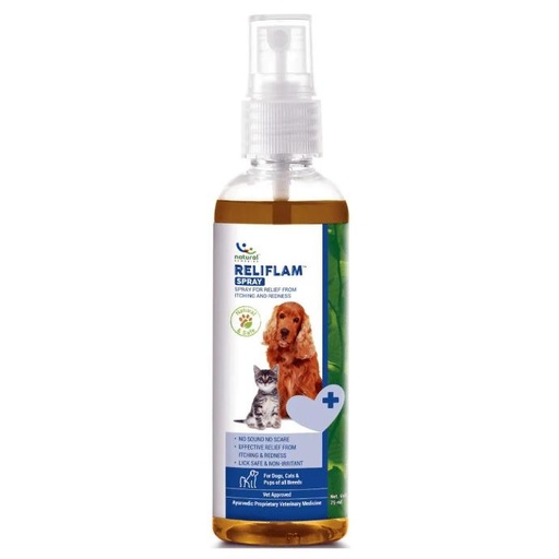 [PC02554] Reliflam Spray 75ml